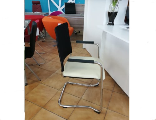 konferencja skóra nat.jpg