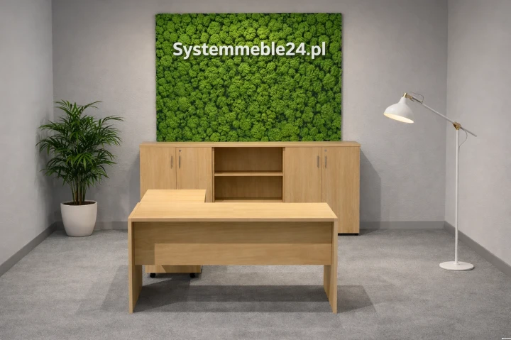 Meble gabinetowe Bydgoszcz – budżetowe wyposażenie biura