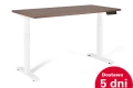 Biurko elektryczne 160x70 cm z regulacją wysokości i szybką dostawą 5 dni