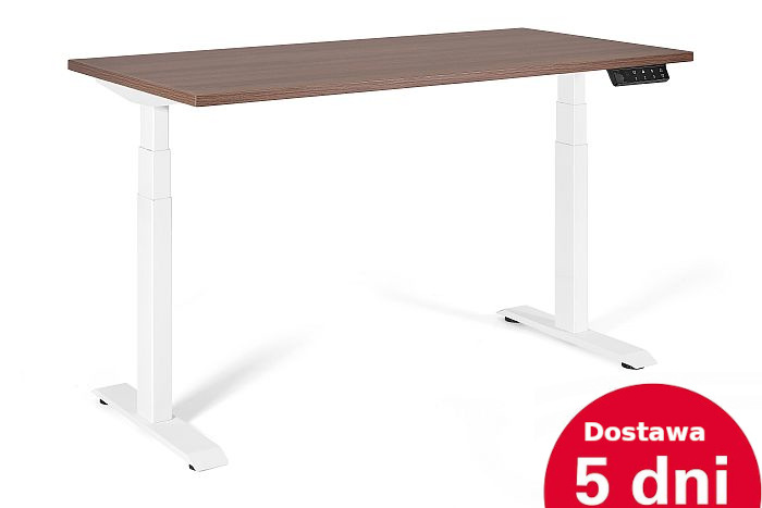 Biurko elektryczne 160x70 cm z regulacją wysokości i szybką dostawą 5 dni
