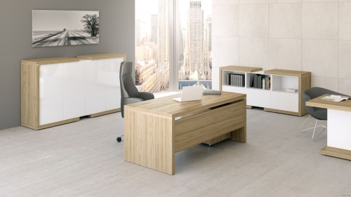 Nowoczesne meble gabinetowe LINEART w aranżacji premium do gabinetu