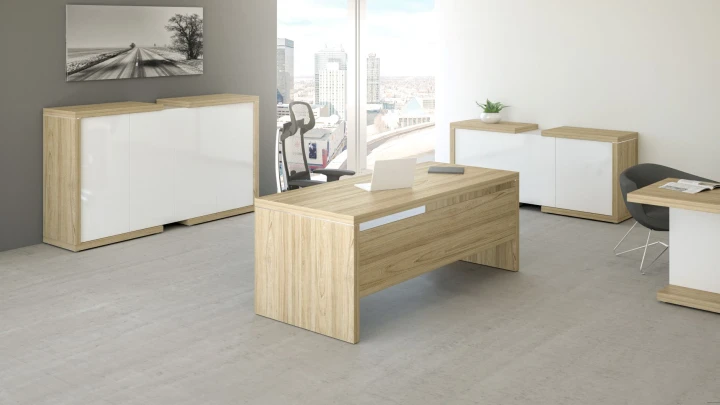 Nowoczesne meble gabinetowe LINEART w jasnej aranżacji biura premium