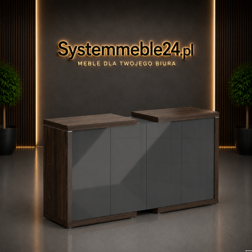 Komoda gabinetowa LINEART 211/50/118 w aranżacji premium Systemmeble24.pl – nowoczesna komoda gabinetowa z frontami antracyt połysk i dekoracyjną listwą chromowaną.