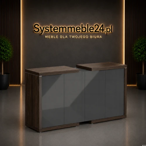 Komoda gabinetowa LINEART 211/50/118 w aranżacji premium Systemmeble24.pl – nowoczesna komoda gabinetowa z frontami antracyt połysk i dekoracyjną listwą chromowaną.