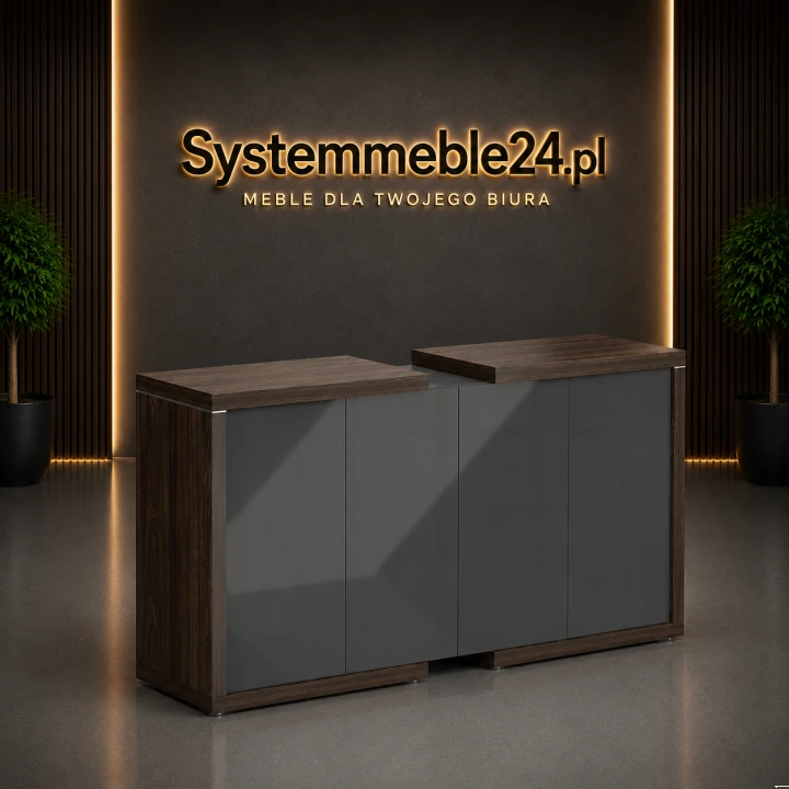 Komoda gabinetowa LINEART 211/50/118 w aranżacji premium Systemmeble24.pl – nowoczesna komoda gabinetowa z frontami antracyt połysk i dekoracyjną listwą chromowaną.