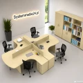 System mebli biurowych EM Box – biurka z panelami dzielącymi oraz szafy aktowe w nowoczesnej aranżacji biura.
