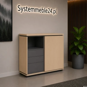 Komoda gabinetowa front przesuwny 123/45/116– Creator 